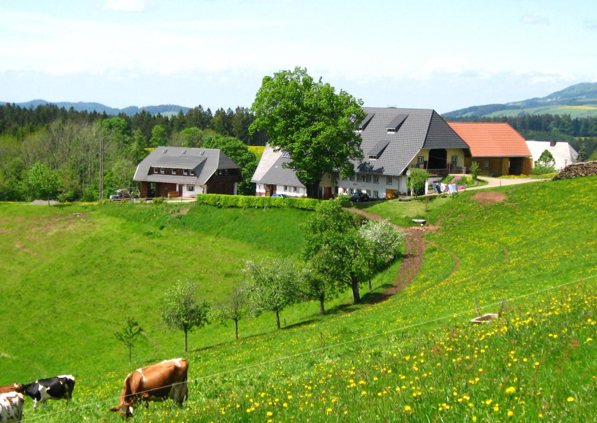 Brosihof Apartment Erlenbach  ภายนอก รูปภาพ