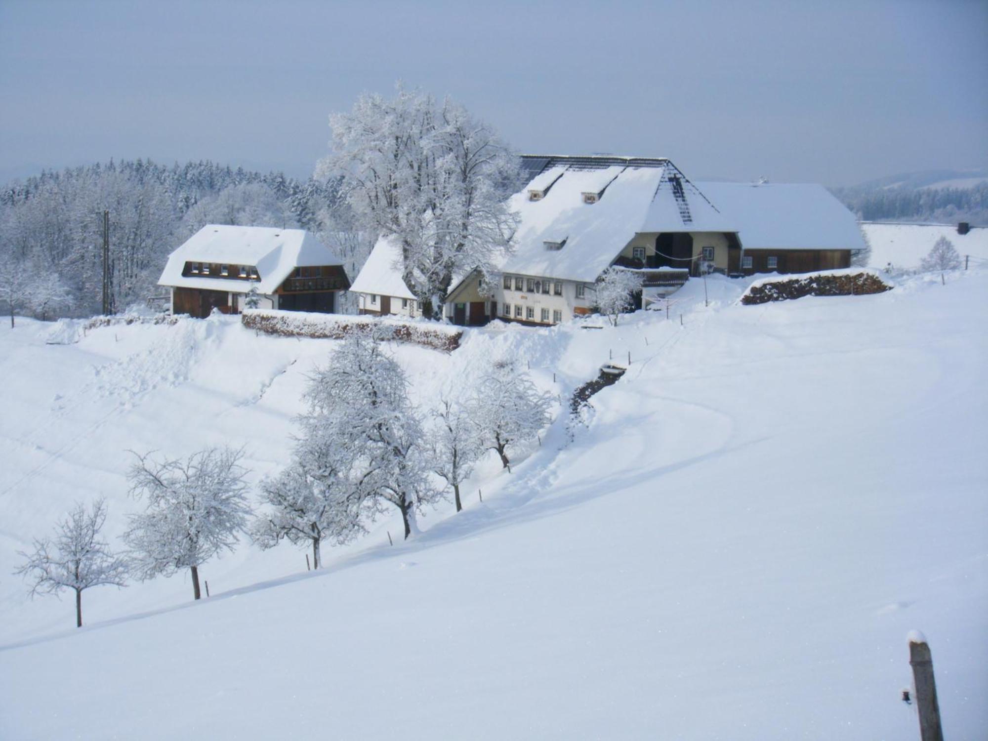Brosihof Apartment Erlenbach  ภายนอก รูปภาพ