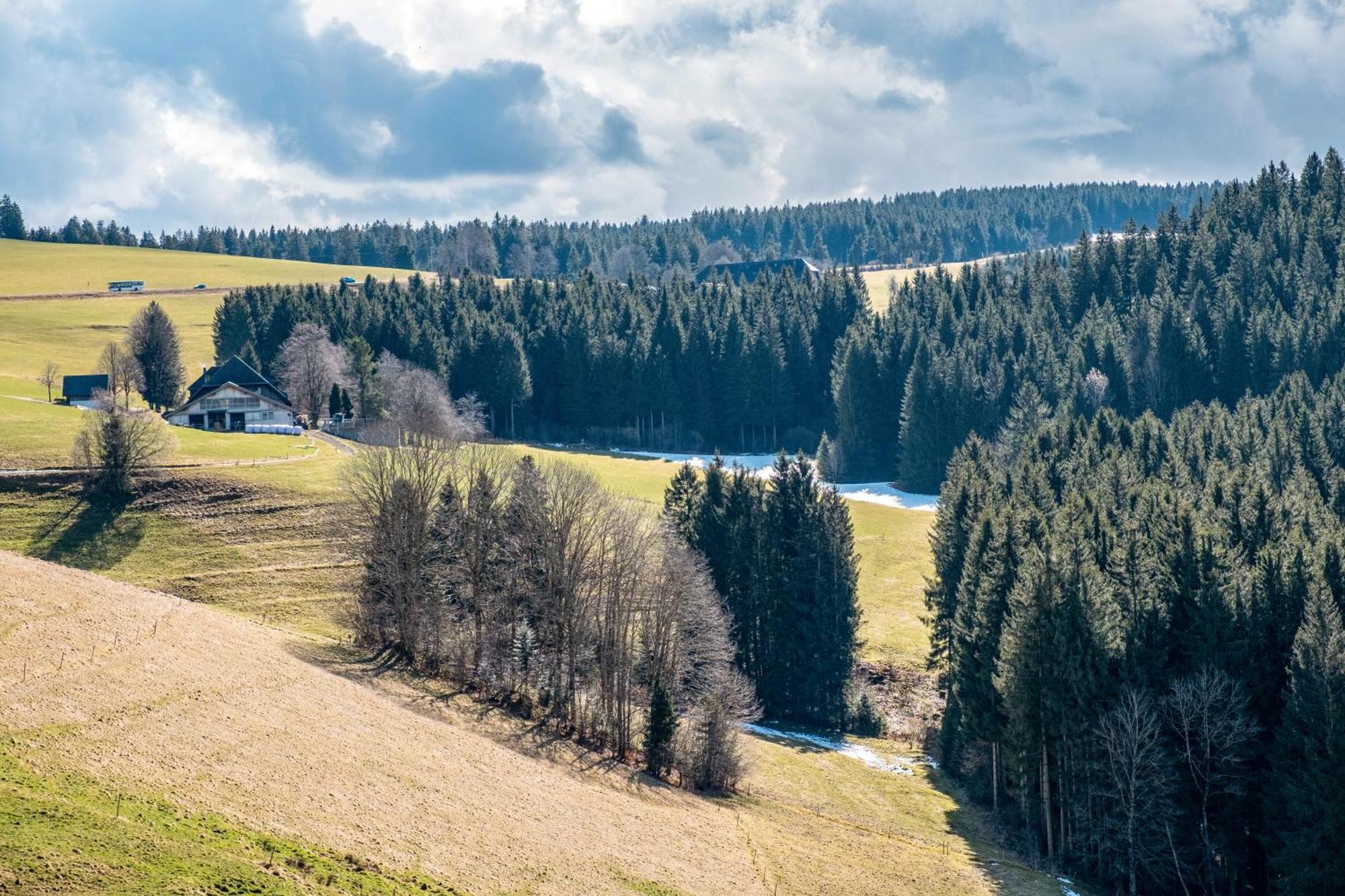 Brosihof Apartment Erlenbach  ภายนอก รูปภาพ