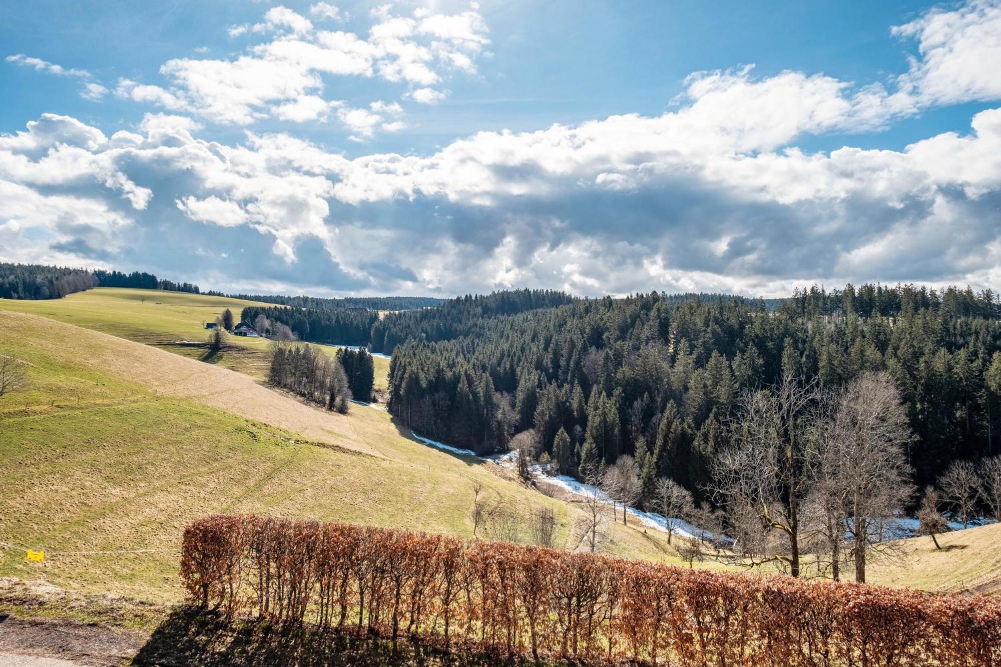 Brosihof Apartment Erlenbach  ภายนอก รูปภาพ