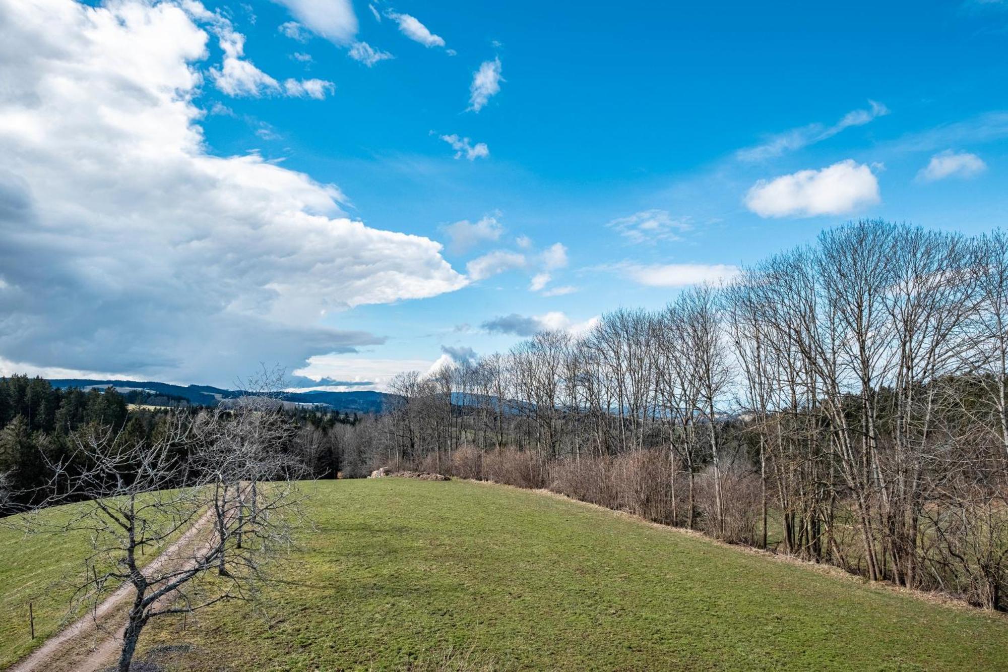 Brosihof Apartment Erlenbach  ภายนอก รูปภาพ