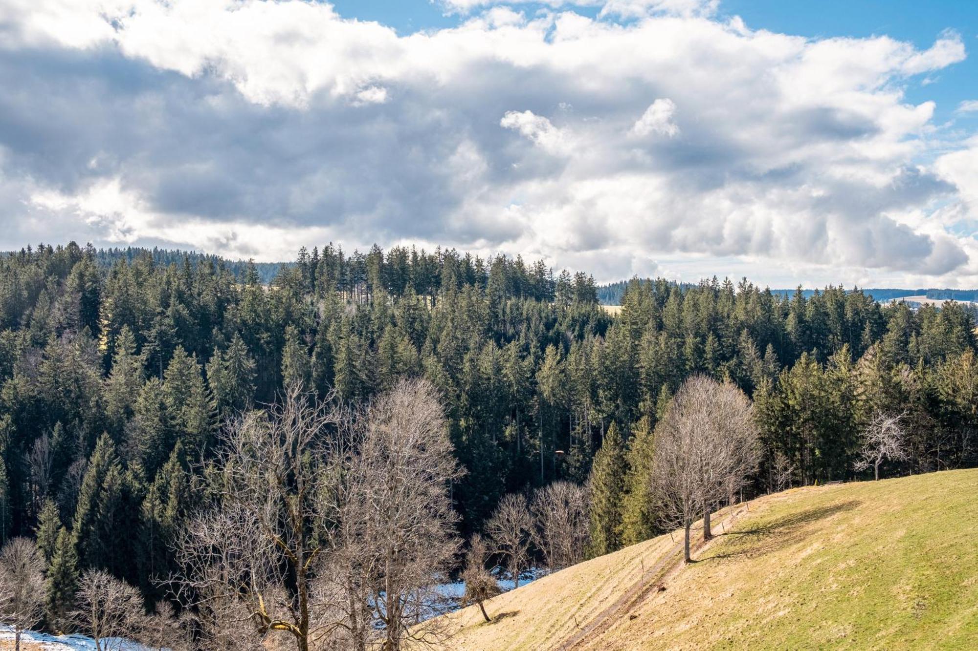 Brosihof Apartment Erlenbach  ภายนอก รูปภาพ