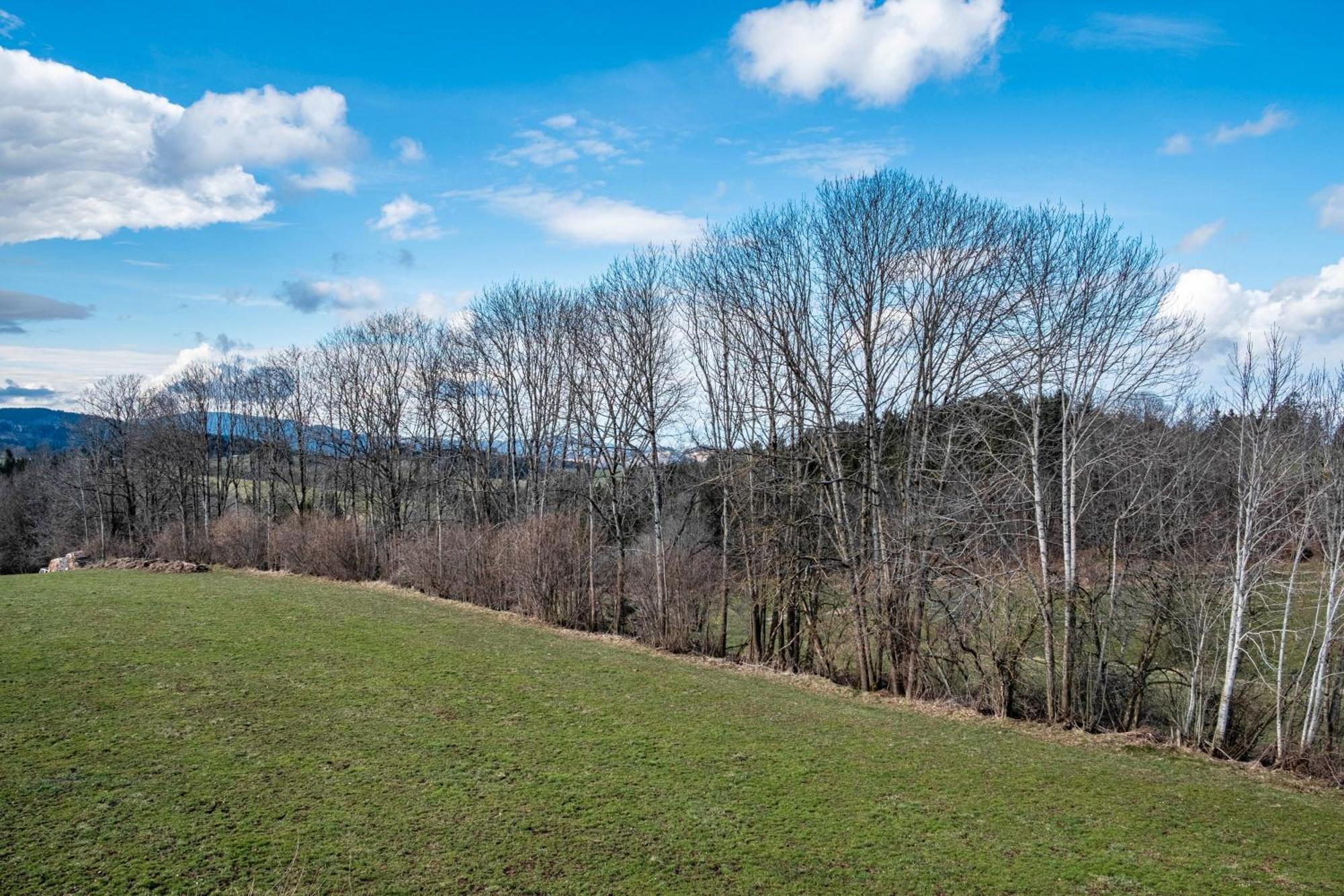Brosihof Apartment Erlenbach  ภายนอก รูปภาพ